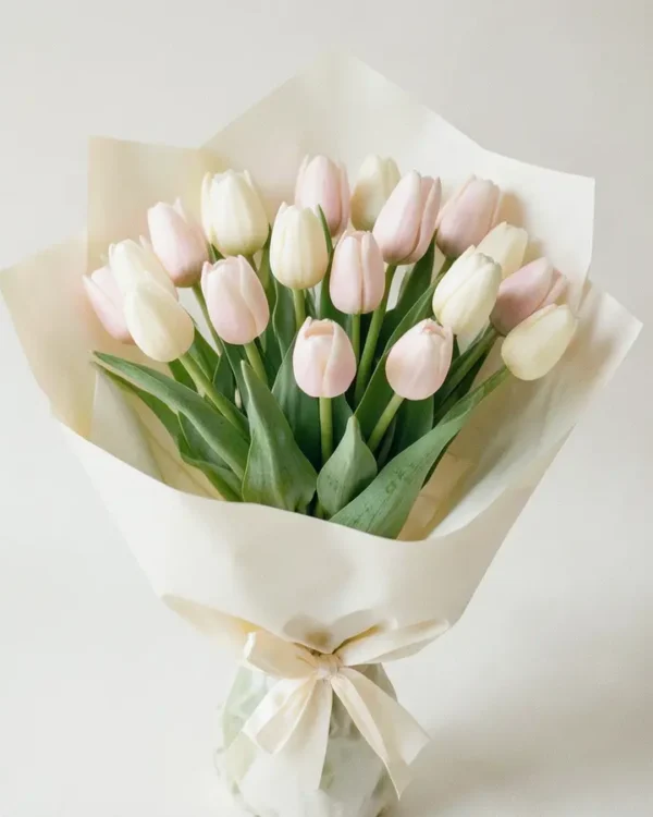 Tulipes Nacrées